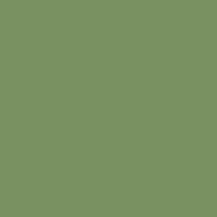 Tilda Solid Basics fabric in pine green color, sold by the half yard