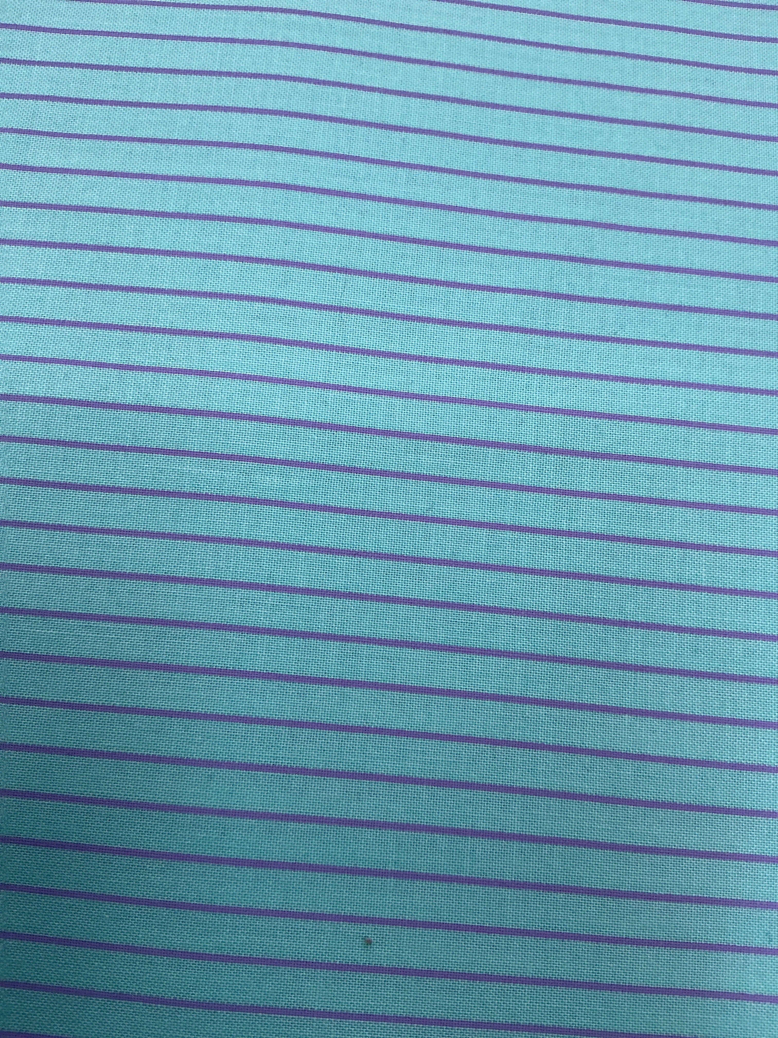 Backing Sale- 163 fabric from Bella Rose Quilts for quilt projects