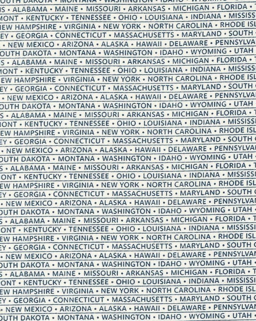 American Gatherings II patriotic fabric with navy and dove state stripes by Primitive Gatherings