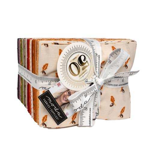 Pumpkin Spice Fat Quarter Bundle by Lisa Bongean with 40 autumn-themed cotton fabric pieces in fall colors.