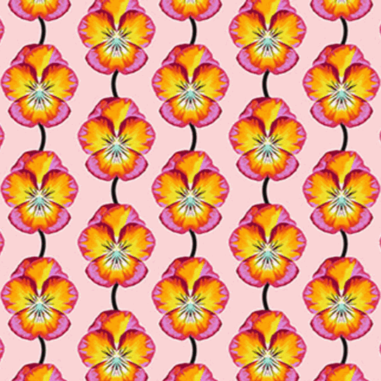 Iconic by Anna Maria Textiles pansy floral fabric in flame colors from Northcott Fabrics