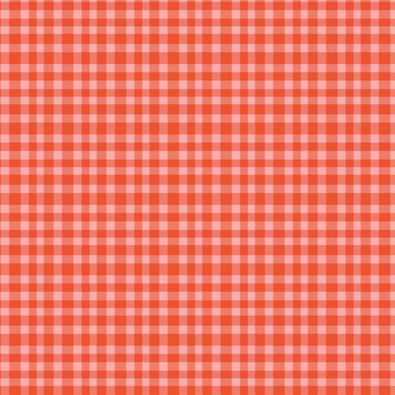Hand Made Red Gingham fabric by Amber Kemp-Gerstel for Riley Blake Designs