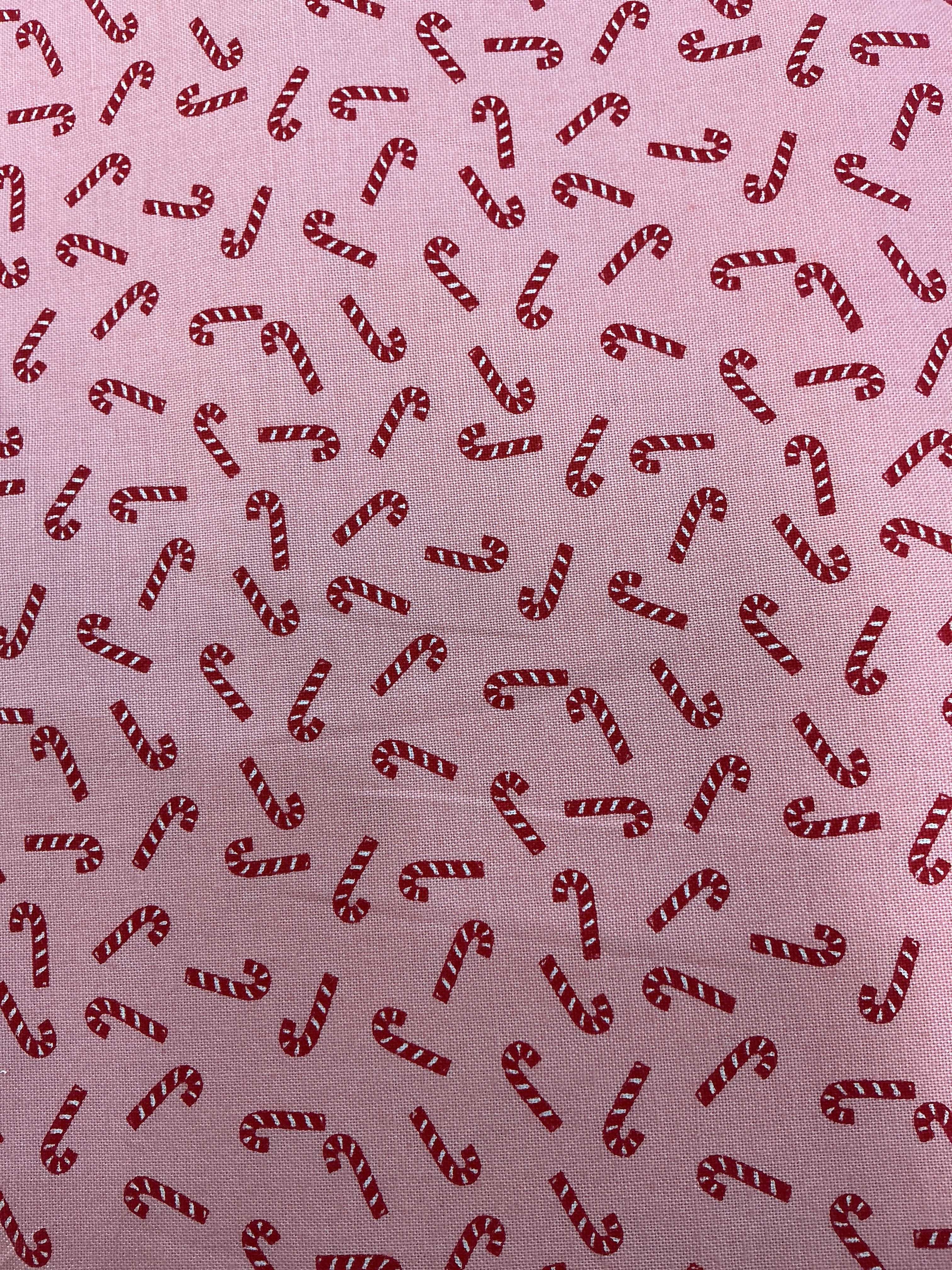 Backing fabric for quilt projects from Bella Rose Quilts Backing Sale 051