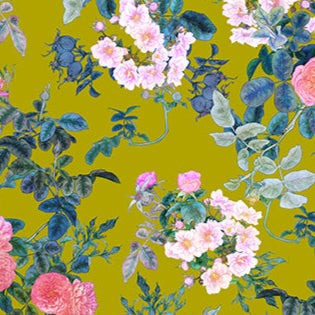 Rosa Rose Blooms fabric with pink roses and green leaves on chartreuse background by Adriana Picker for Figo Fabrics