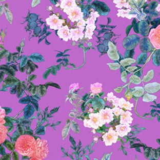 Rosa Rose Blooms purple fabric with vibrant rose prints by Adriana Picker for Figo Fabrics