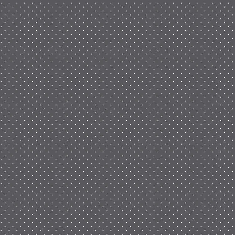 Gray fabric with tiny white dots from Tula Pink's Graywork Tiny Dots Carbon collection
