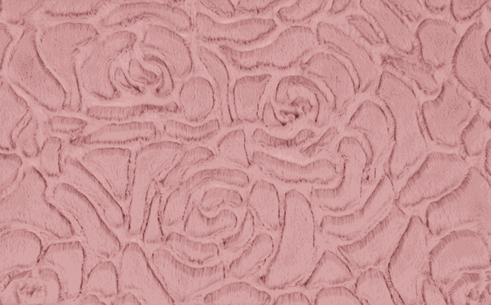 Luxe Cuddle® Demi Rose plush fabric with embossed rose floral pattern in soft pink woodrose color