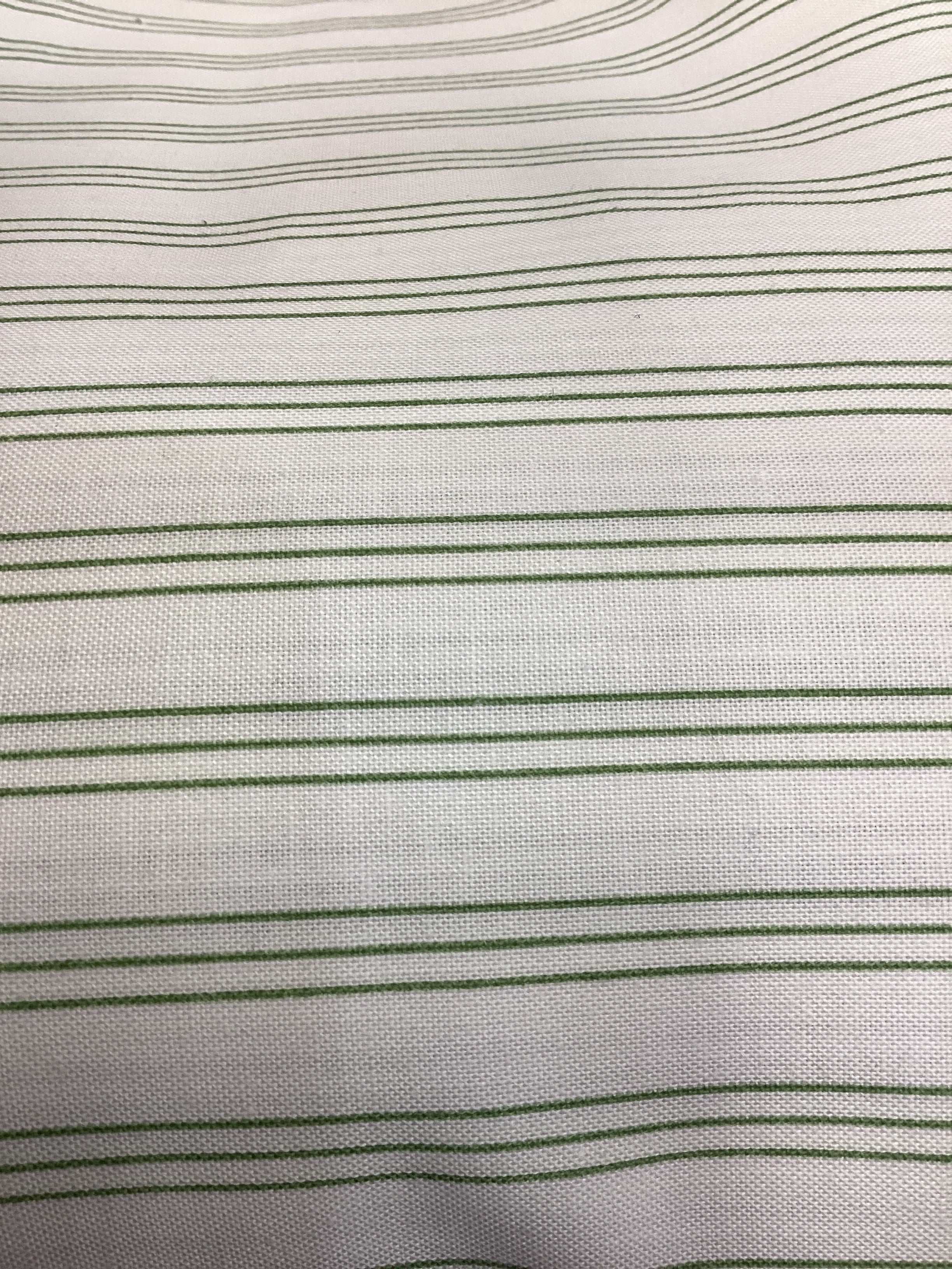 4 Yard Backing fabric with green stripes for quilt backings
