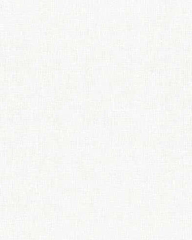 Thatched by Robin Pickens Moda Fabrics Blizzard white textured quilting fabric half yard