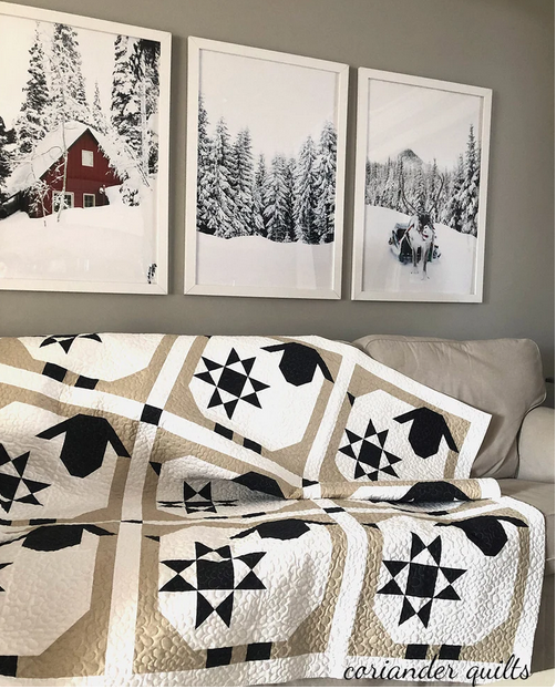 Wooly Stars Quilt Kit by Corey Yoder of Coriander Quilts using Coriand