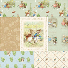 Peter Rabbit™ and Benjamin Bunny™ from Riley Blake Designs