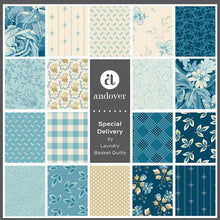 Special Delivery by Edyta Sitar of Laundry Basket Quilts for Andover