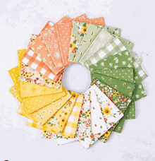 Homemade by Echo Park Paper Co. for Riley Blake Designs