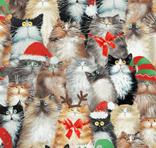 Meowy Christmas by Kim Haskins for Windham Fabrics