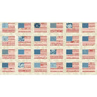 Stars and Stripes Multi patriotic fabric by Edyta Sitar 108 inch wide back