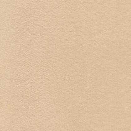Soft Textures Fireside natural 60-inch wide cozy polyester knit fabric from Moda Fabrics