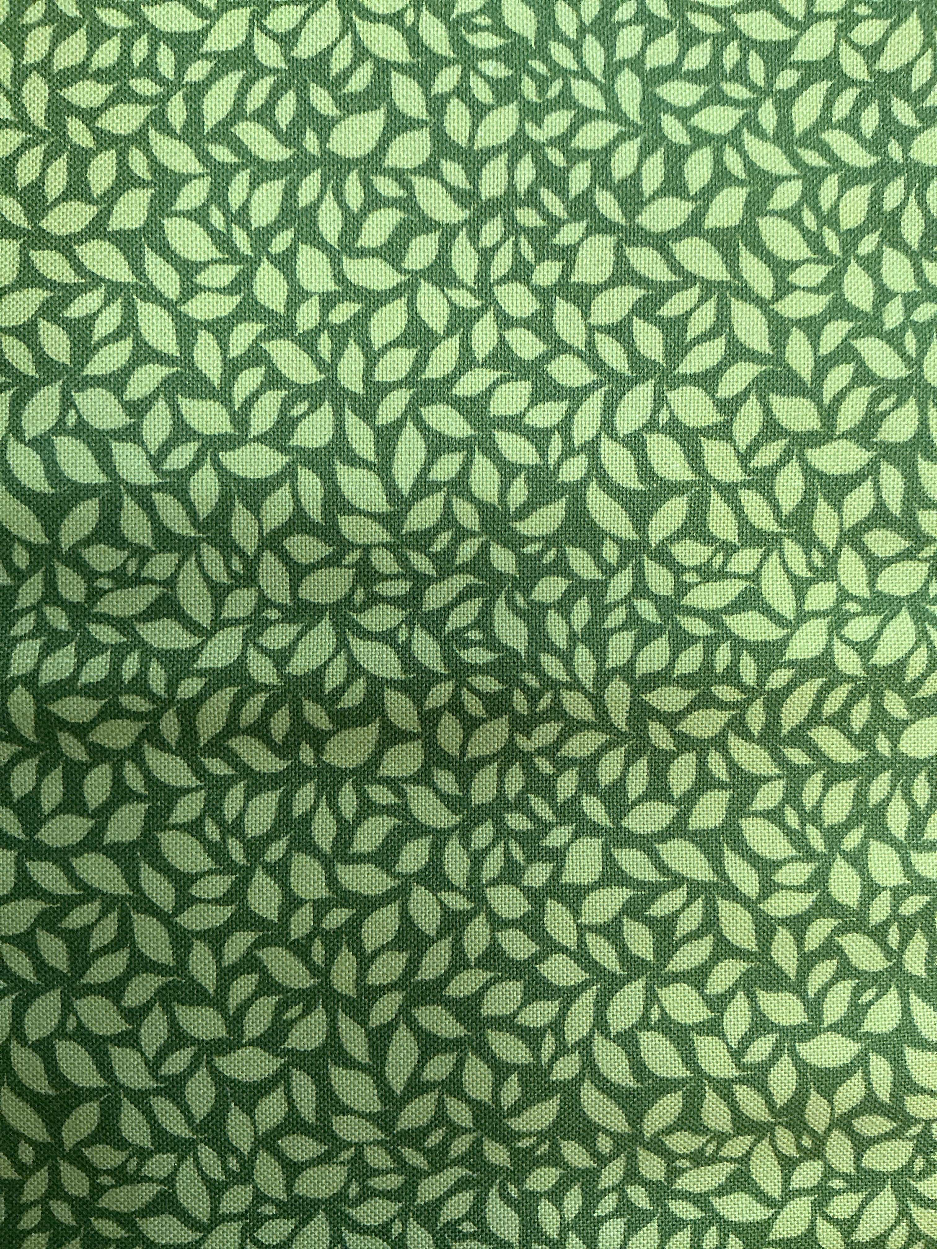 Backing Sale- 079 fabric from Bella Rose Quilts for quilt projects