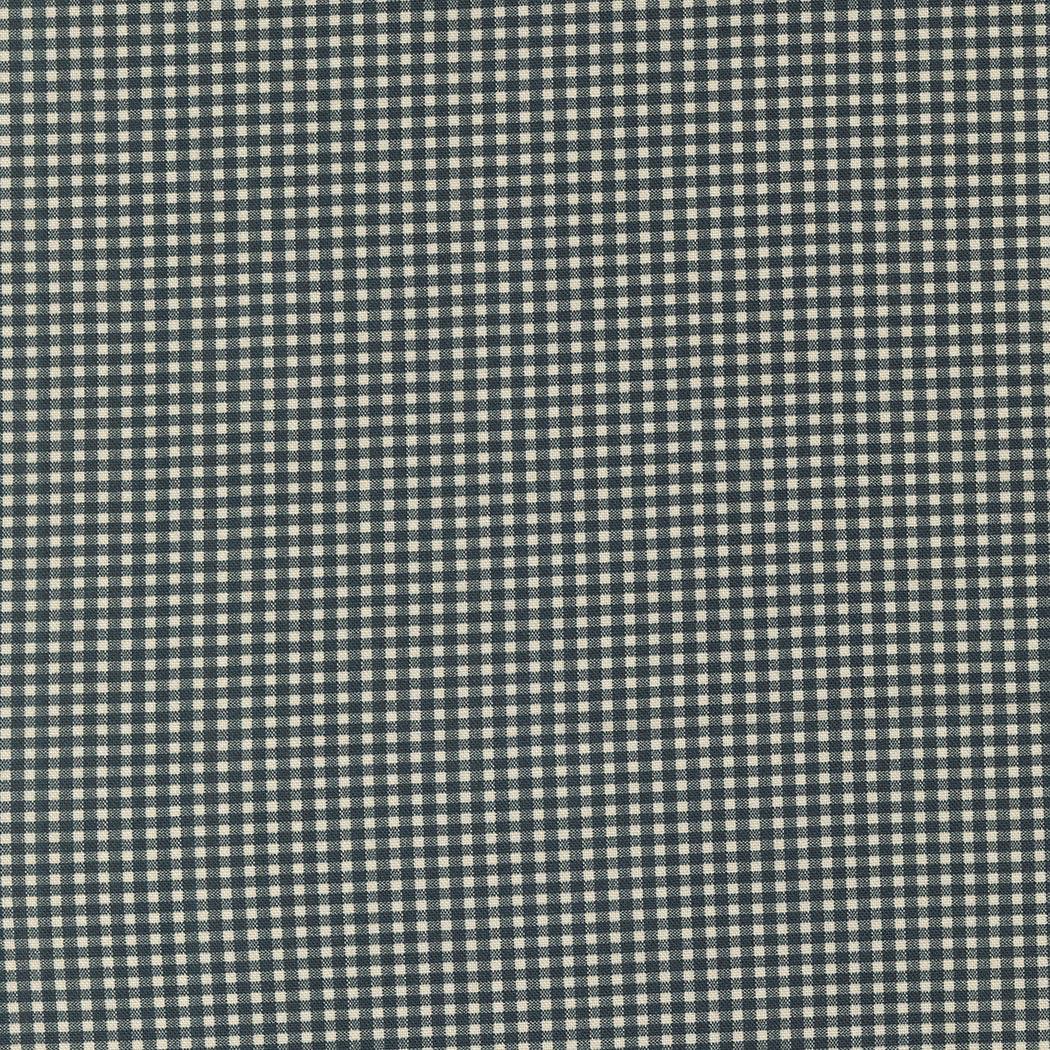 Goodnight Irene Checks & Plaids fabric in graphite by Betsy Chutchian for Moda Fabrics, classic gingham pattern.