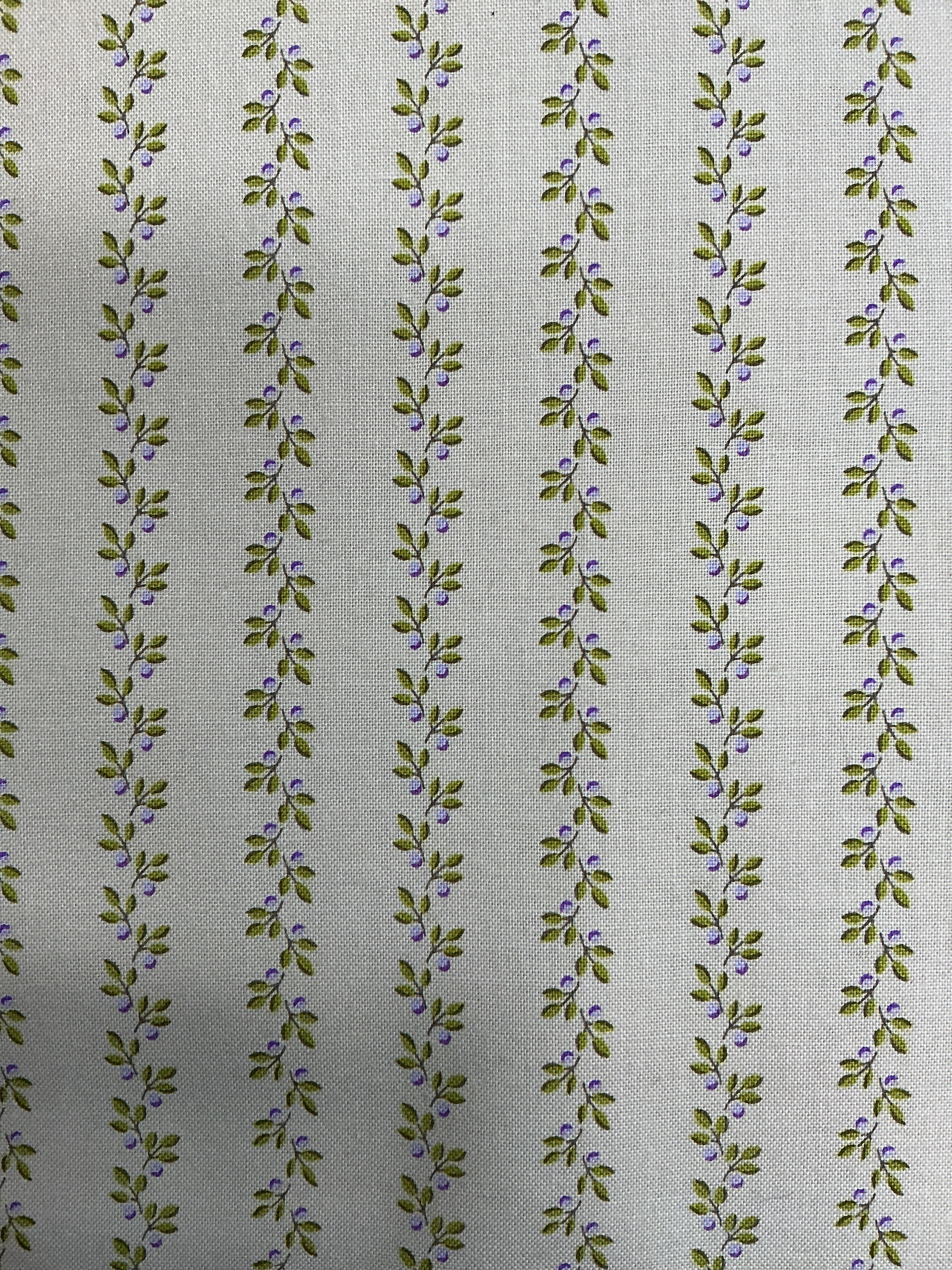 5 yards of continuous quilt backing fabric B1263