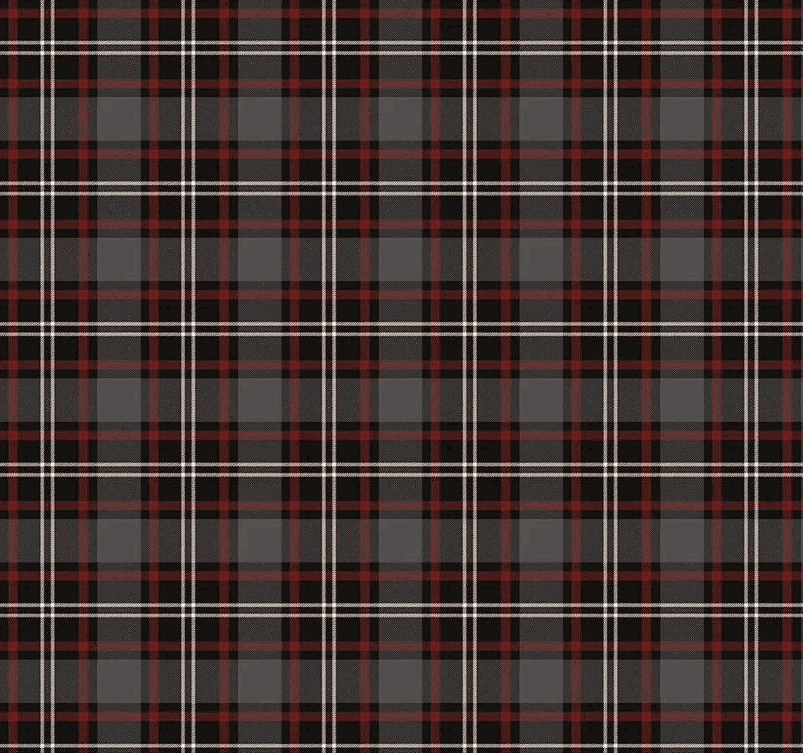 Pine Grove Plaid Black cotton fabric with red and white plaid pattern by Riley Blake Designs