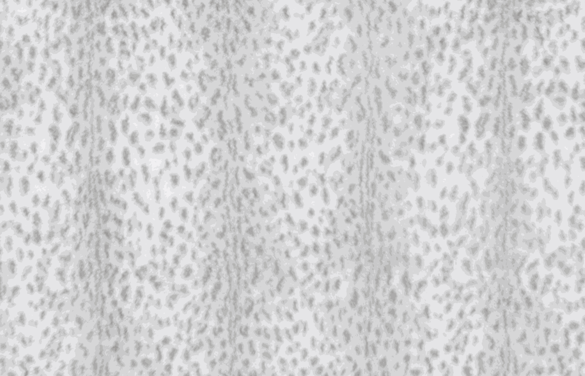Shannon Fabric Luxe Cuddle Savanna Silver minky plush animal print fabric with 2.5 mm pile, 58/60" wide, sold by the half yard