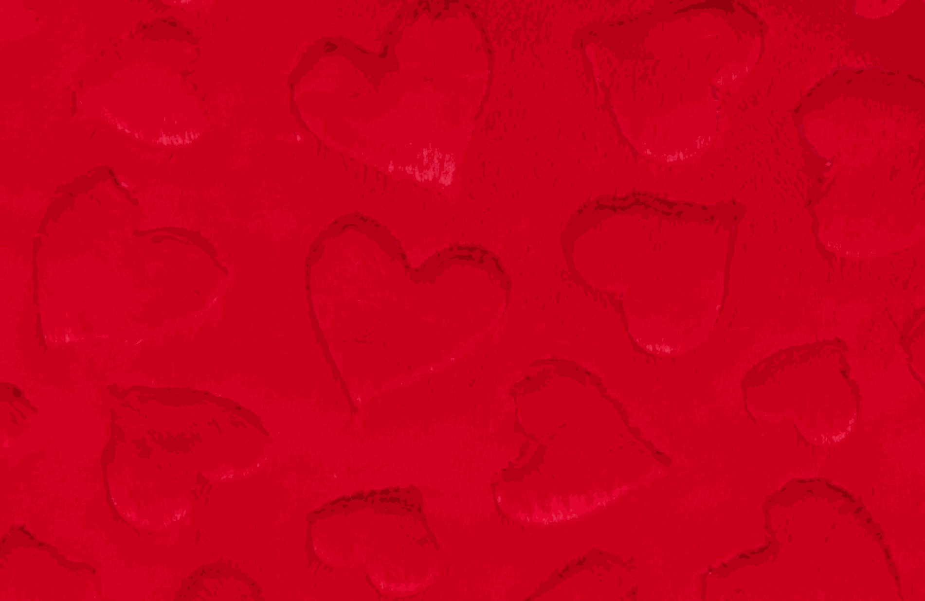 Shannon Fabric Hearts Scarlet embossed soft red minky polyester plush texture