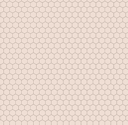 Farmer's Daughter rustic chicken wire fabric pattern by Lori Holt for Riley Blake Designs