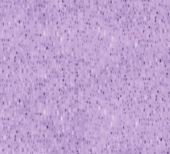 Delphinium by Janet Clare mauve fabric from Palette Blenders collection sold in half-yard increments