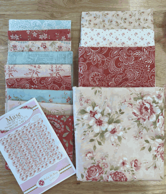 Muse Quilt Kit throw size 76 inch square quilt top with scallop border template and blue or pink binding options
