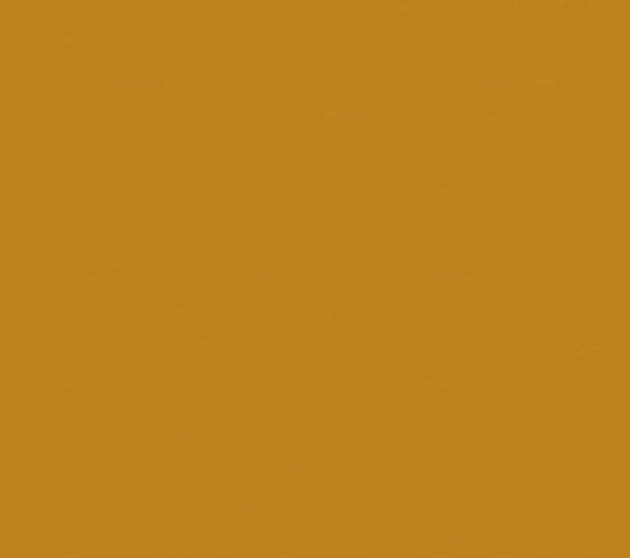 Bella Solids Sienna fabric from Moda Fabrics in 1/2 yard increments