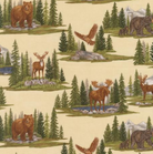 Bearly Noticeable Backing Kit with Northwoods Lodge fabric options for 65x68 quilt pre-order