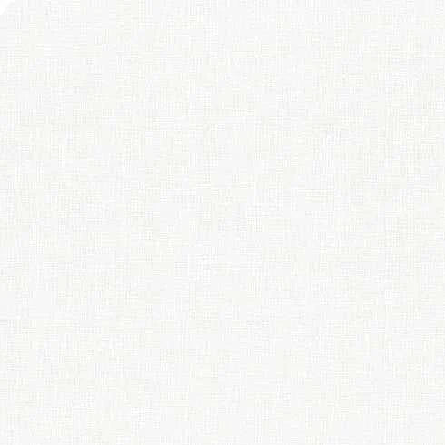 Thatched by Robin Pickens Moda Fabrics Blizzard white textured quilting fabric half yard